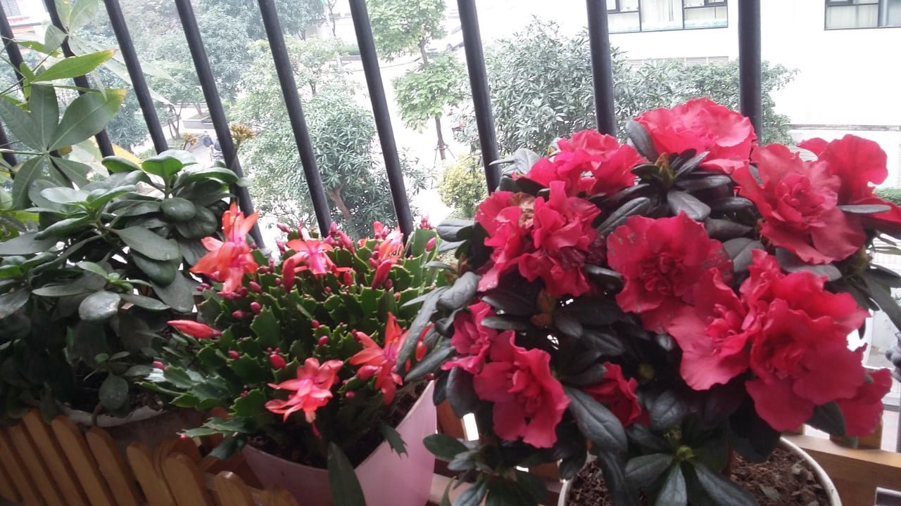 Kiểm tra ánh sáng ban công hướng Nam
