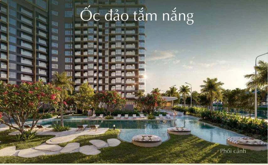 oc dao