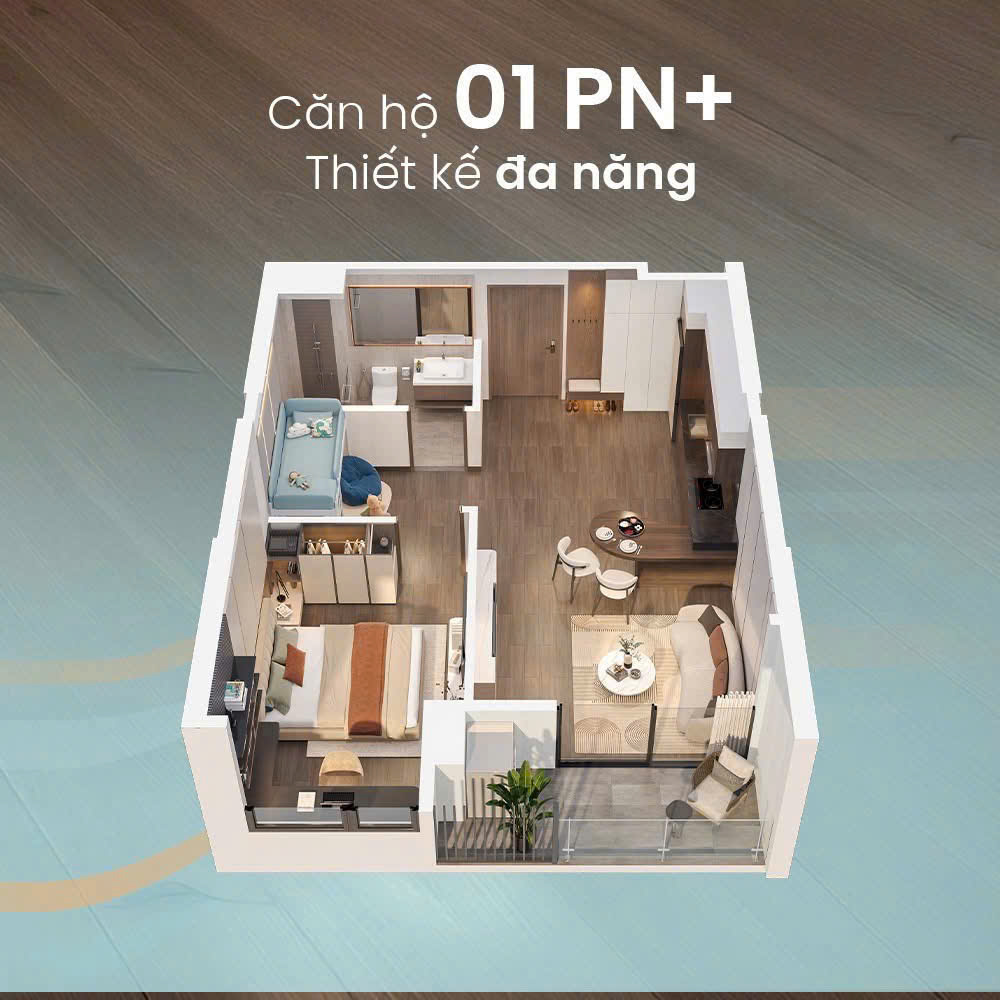 căn hộ 1 phòng ngủ +