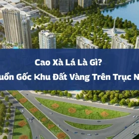 Cao Xà Lá Là Gì? Giải Mã Nguồn Gốc Khu Đất Vàng Trên Trục Nguyễn Trãi