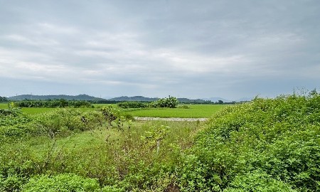 Người dân theo dõi thông tin điều chỉnh quy hoạch phân khu đô thị sông Hồng